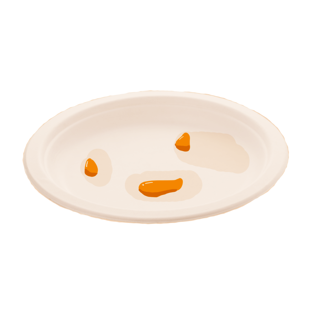 Used paper plate